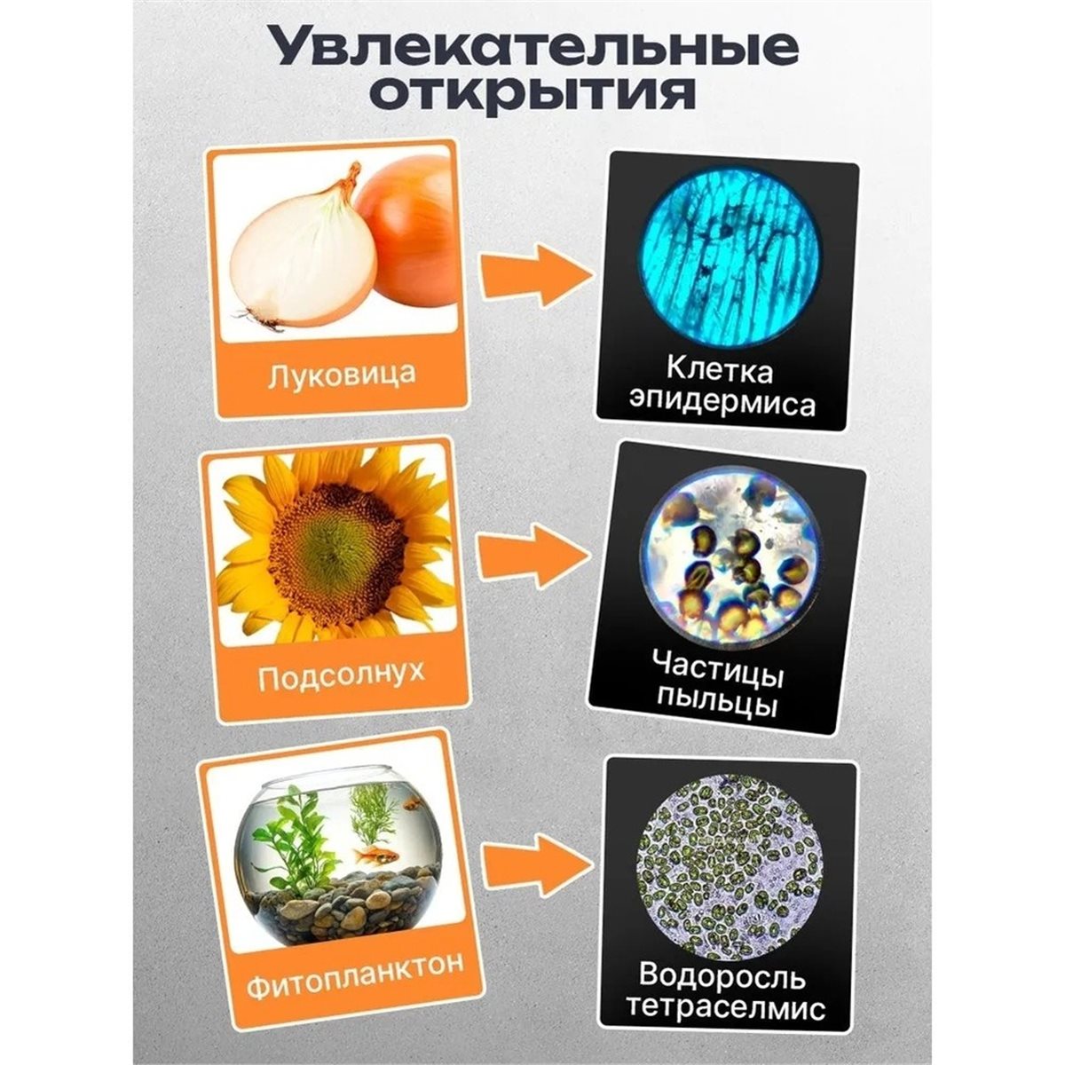 güncelleme. Çocuklar için Mikr - Microscope Kids Science incelemesi ve fiyatı