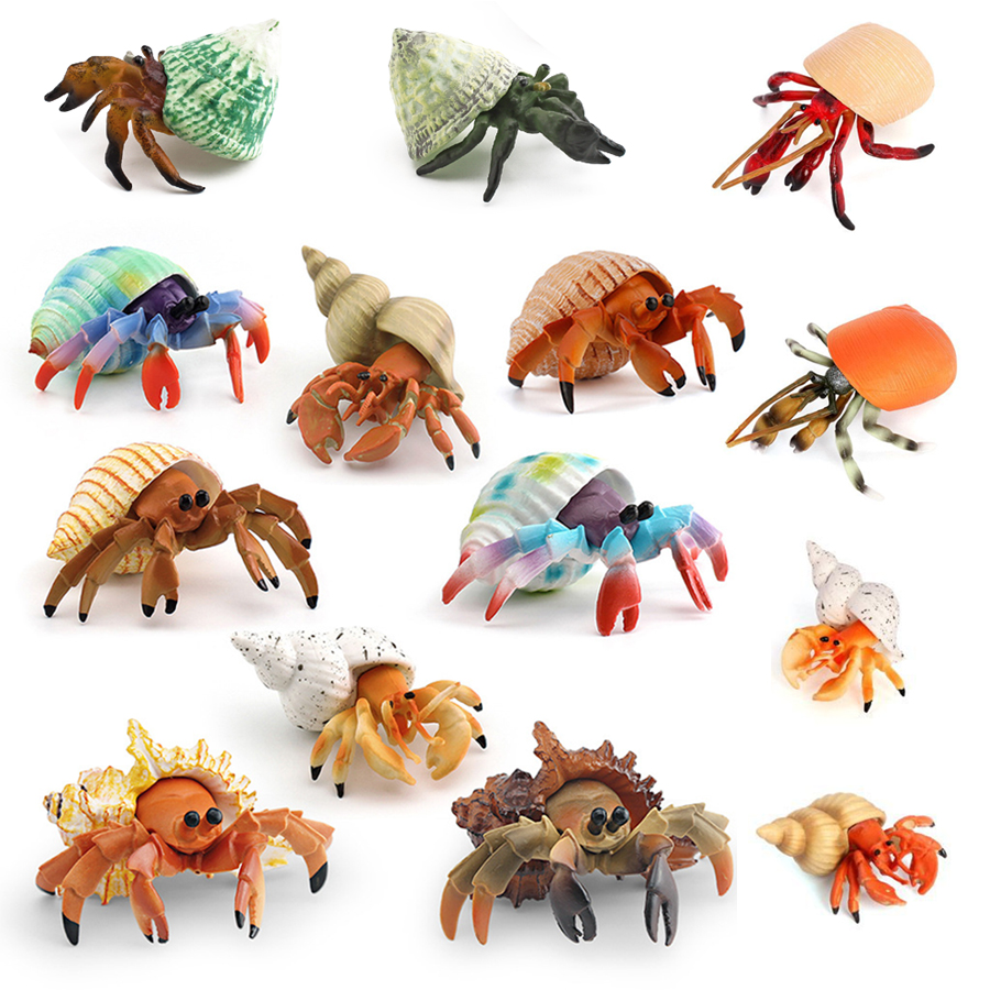Gerçekçi Münzevi Yengeç Heykel - Kids Toys Under 1 Year incelemesi ve fiyatı