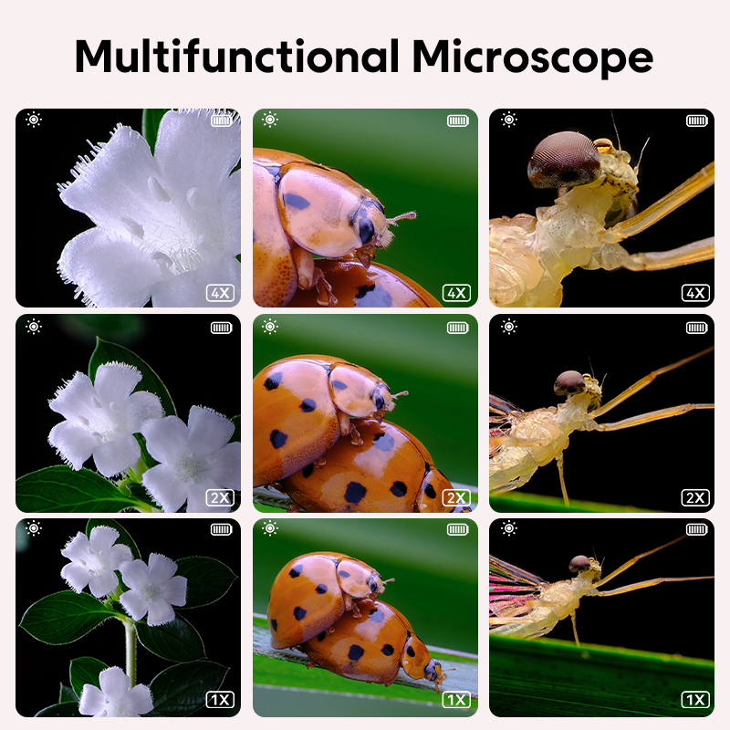Fotoğraf ve Video Fonksiyonlu  - Microscope Kids Science incelemesi ve fiyatı